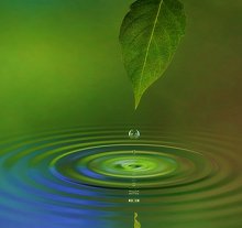 Angelic Healing. Library Image: Leaf and Water